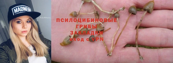 герыч Абаза