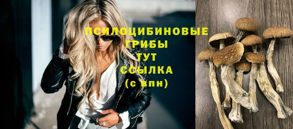 герыч Абаза