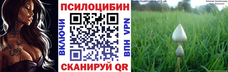 Галлюциногенные грибы ЛСД  Питкяранта 